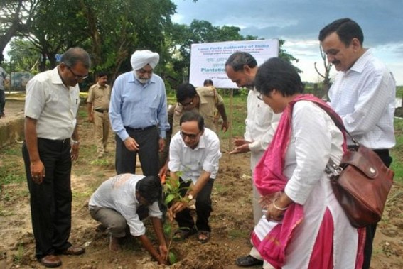 Minister Tapan  stressed to plant sapling in all the check posts of the state